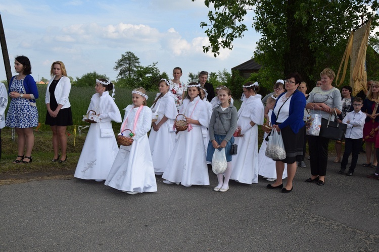 Powitanie ikony MB Częstochowskiej w Orłowie