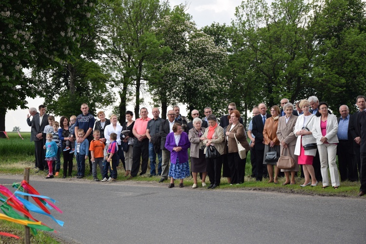 Powitanie ikony MB Częstochowskiej w Orłowie