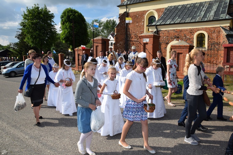 Powitanie ikony MB Częstochowskiej w Orłowie