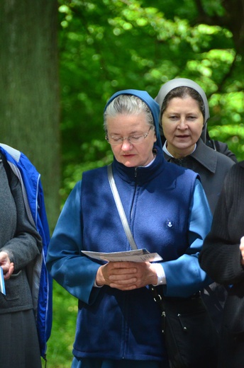 Wędrowanie do Pustelni 