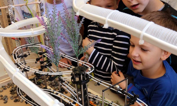 Naukowo grali w kulki