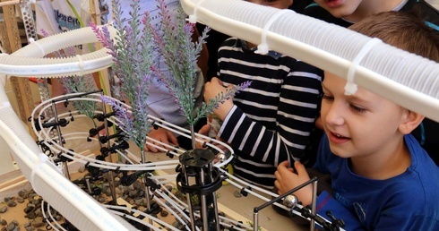 Naukowo grali w kulki