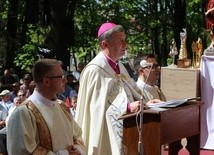 Nie będzie wolności bez trzeźwości