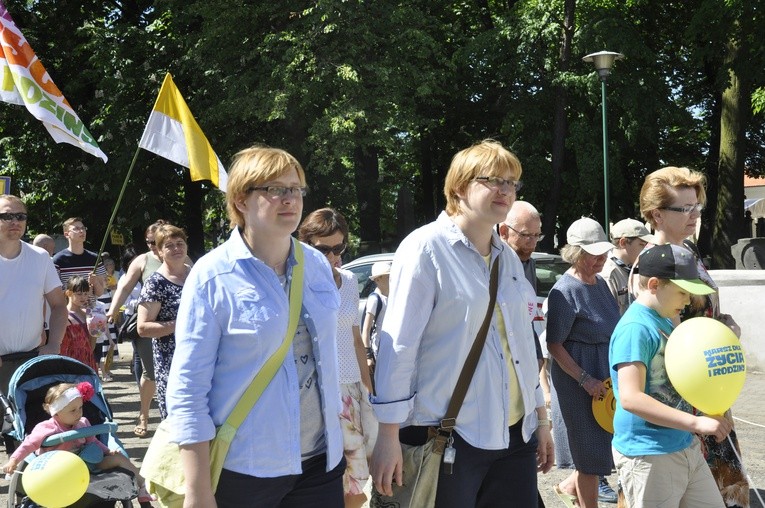 VI Marsz dla Życia i Rodziny w Skierniewicach