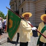 Pszczoły na dachu Teatru im. Słowackiego