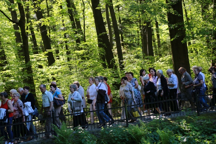 Procesja do Królowej Krynickich Zdrojów