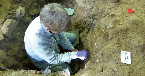 Becky Miller pobiera próbki osadów do analizy genetycznej podczas wykopalisk w Trou Al’Wesse, w Belgii.