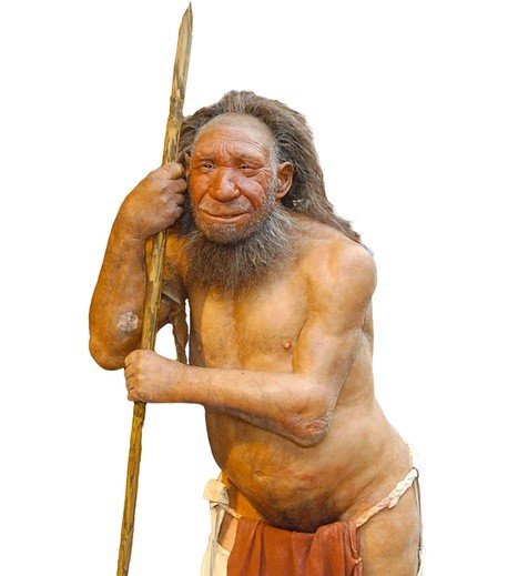 Rekonstrukcja wyglądu neandertalczyka z Neanderthals Museum w Mettmann (Niemcy).
