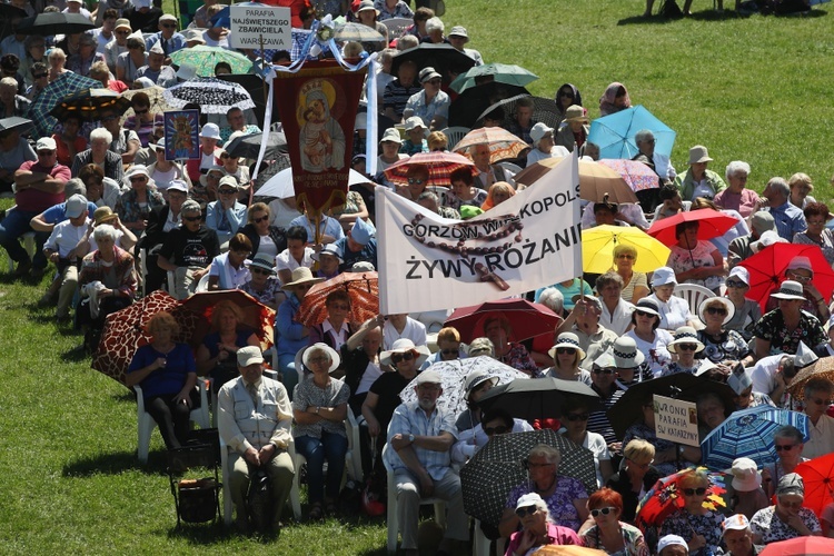 V Ogólnopolska Pielgrzymka Żywego Różańca na Jasną Górę.