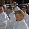 Powitanie ikony MB Częstochowskiej w Dmosinie