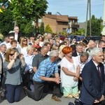 Powitanie ikony MB Częstochowskiej w Dmosinie