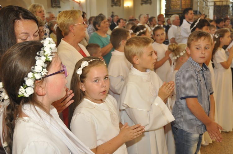 Powitanie ikony MB Częstochowskiej w Dmosinie