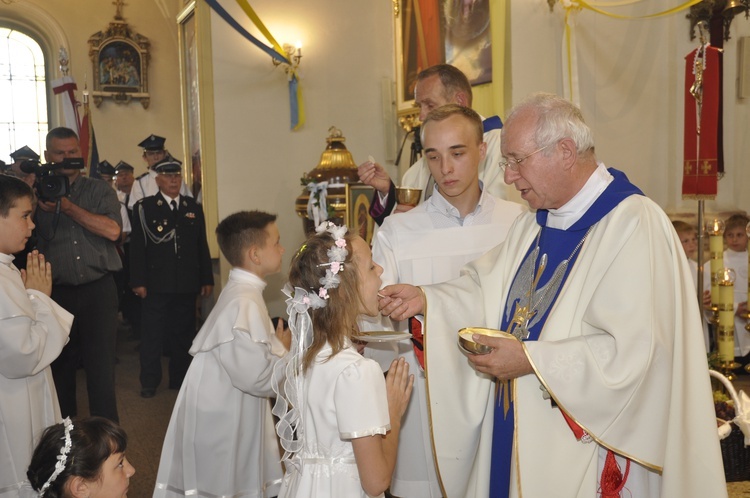 Powitanie ikony MB Częstochowskiej w Dmosinie