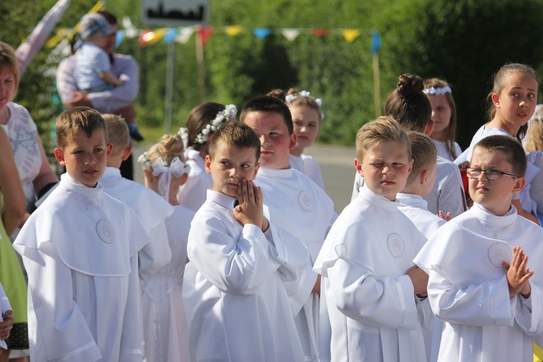 Powitanie ikony MB Częstochowskiej w Dmosinie