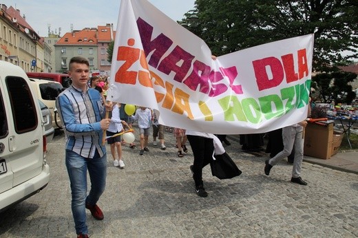 Marsz dla Życia - Wodzisław '2017