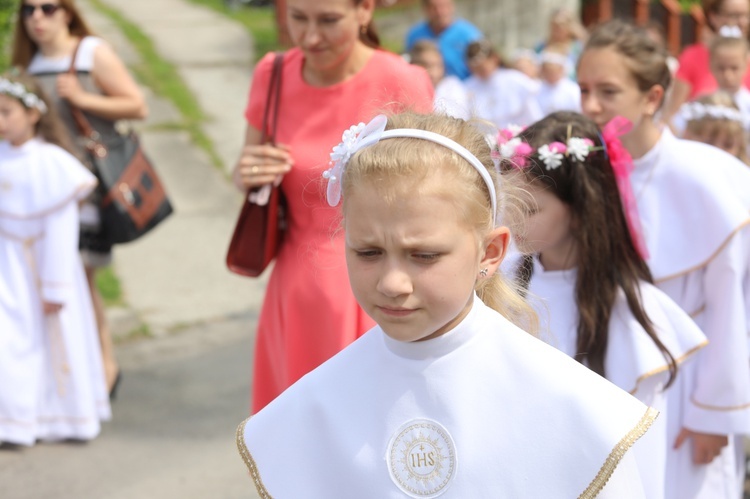 Diecezjalna pielgrzymka na Kaplicówkę - 2017