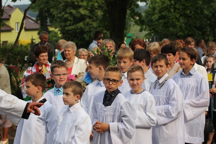 Powitanie ikony MB Częstochowskiej w Domaniewicach