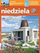 Niedziela 23/2017