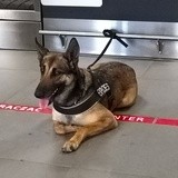 Ćwiczenia na lotnisku 