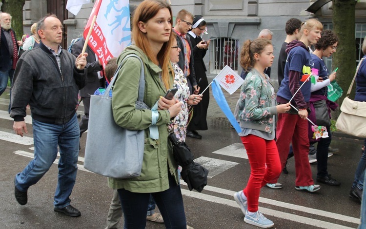 4. Marsz dla Życia i Rodziny w Bielsku-Białej - 2017