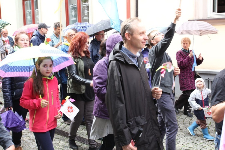 4. Marsz dla Życia i Rodziny w Bielsku-Białej - 2017