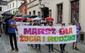 4. Marsz dla Życia i Rodziny w Bielsku-Białej - 2017