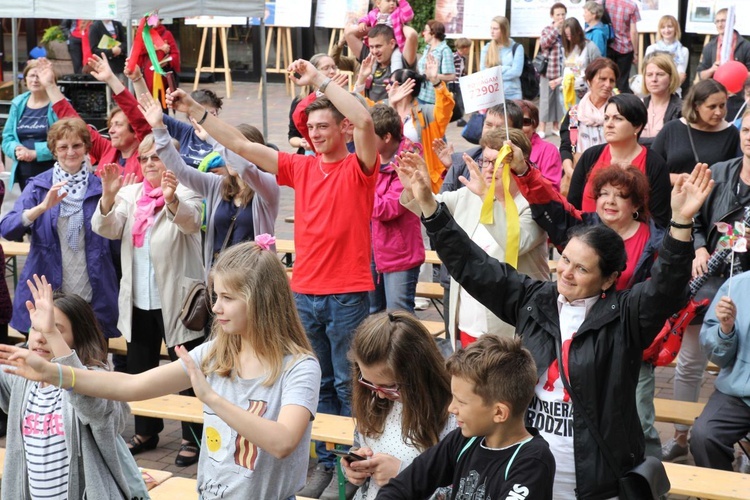 Piknik Caritas po Marszu dla Życia i Rodziny - 2017