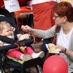 Piknik Caritas po Marszu dla Życia i Rodziny - 2017