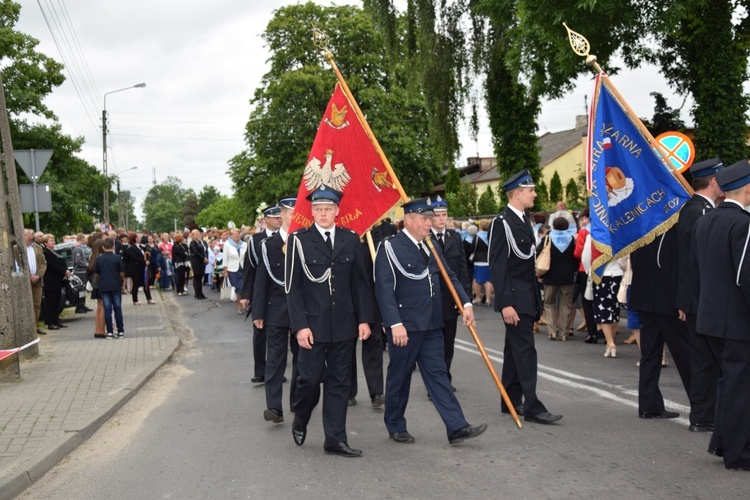 Powitanie ikony MB Częstochowskiej w Łyszkowicach