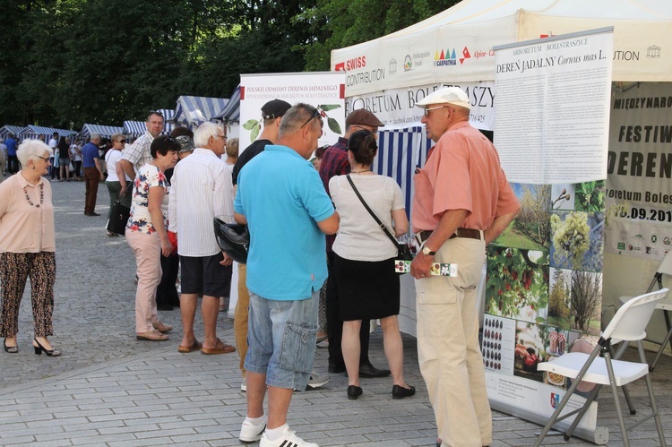 Dzikowski festiwal