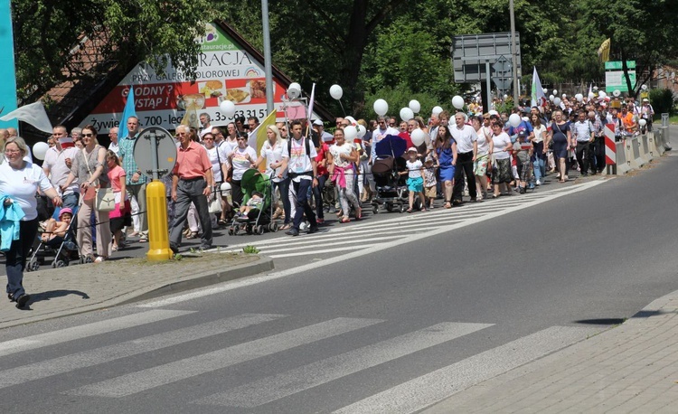 1. Marsz dla Życia i Rodziny w Żywcu - 2017