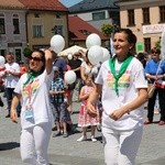 1. Marsz dla Życia i Rodziny w Żywcu - 2017