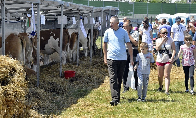 Dni rolnictwa w Poświętnem