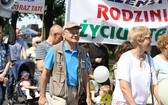 Marsz dla Życia i Rodziny w Oświęcimiu - 2017