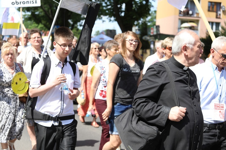 Marsz dla Życia i Rodziny w Oświęcimiu - 2017