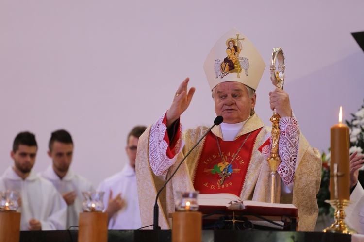 Marsz dla Życia i Rodziny w Oświęcimiu - 2017