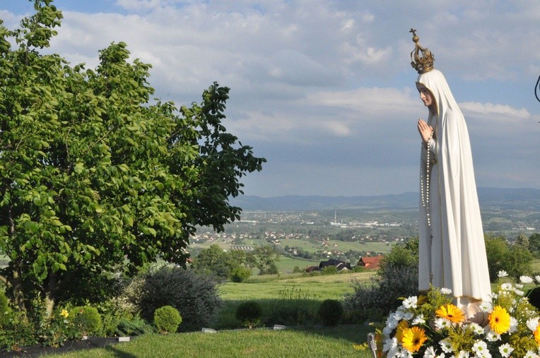 Z Trzetrzewiny do Niskowej