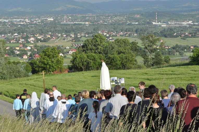 Z Trzetrzewiny do Niskowej