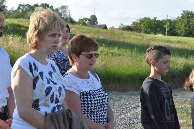 Z Trzetrzewiny do Niskowej