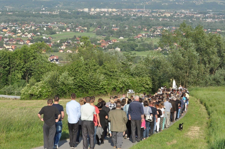 Z Trzetrzewiny do Niskowej