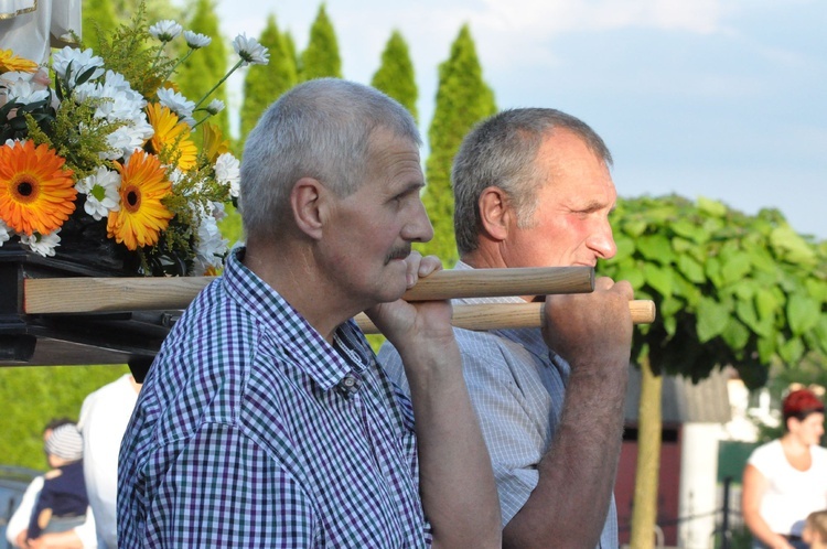 Z Trzetrzewiny do Niskowej