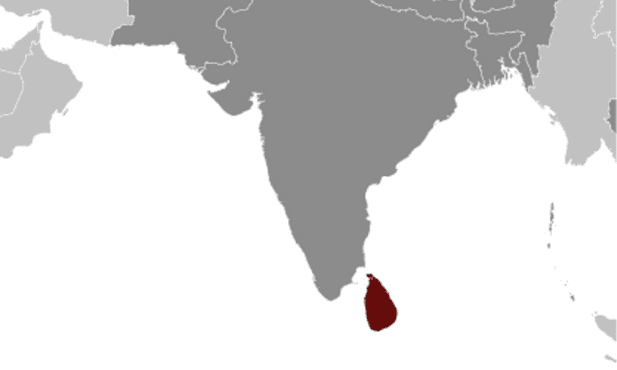Sri Lanka: agresja wobec chrześcijan, muzułmanów i innych mniejszości
