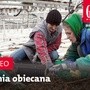 Zwiastun najnowszego "Gościa"