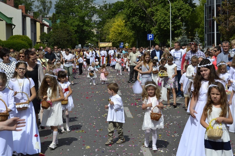 Z Przywiśla do Siarkowca