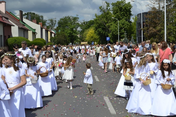 Z Przywiśla do Siarkowca