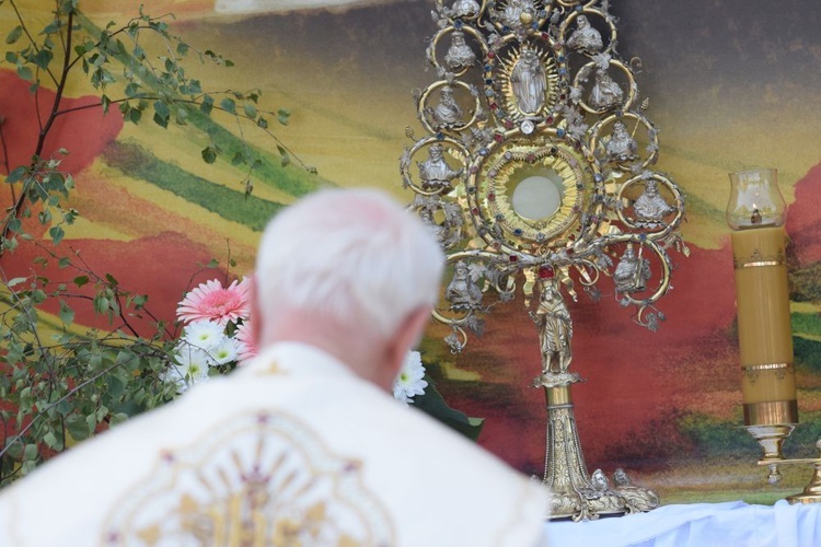 Ulicami Świdnicy z Najświętszym Sakramentem