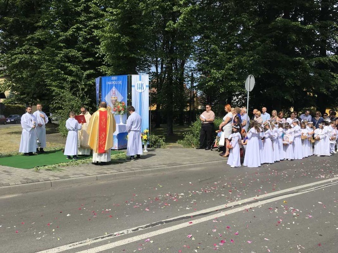 Procesja Bożego Ciała w Czechowicach-Dziedzicach na Lesisku - 2017