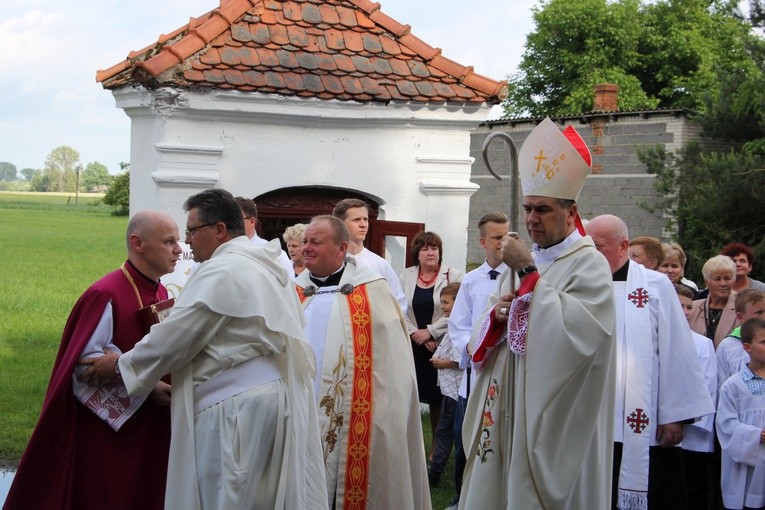Powitanie ikony MB Częstochowskiej w Nieborowie