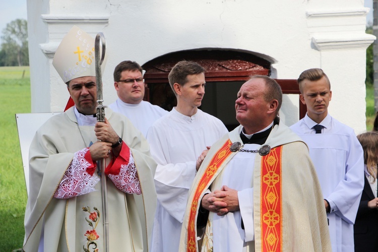 Powitanie ikony MB Częstochowskiej w Nieborowie