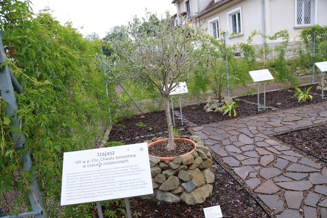 Święto Muszyńskich Ogrodów Biblijnych